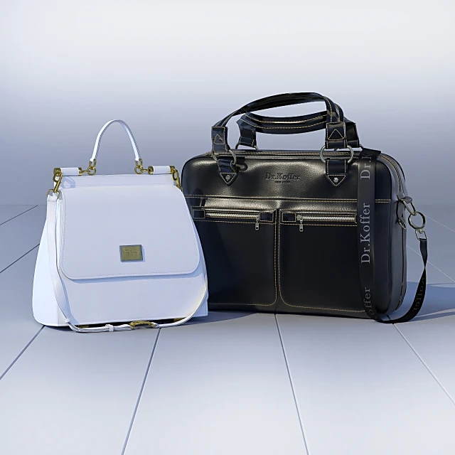 Bag Set Dr.Koffer Business Briefcase and Dolce Gabbana Handbag