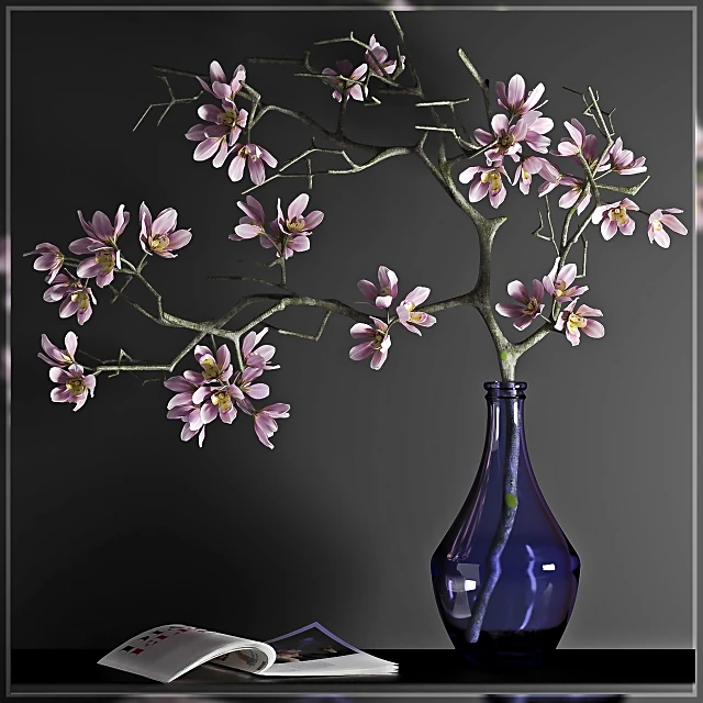 Plants / Decorative set 1