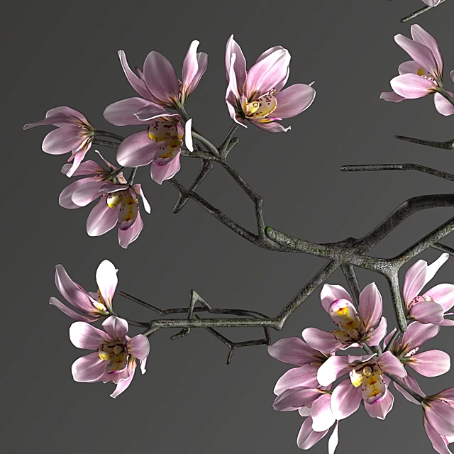 Plants / Decorative set 2