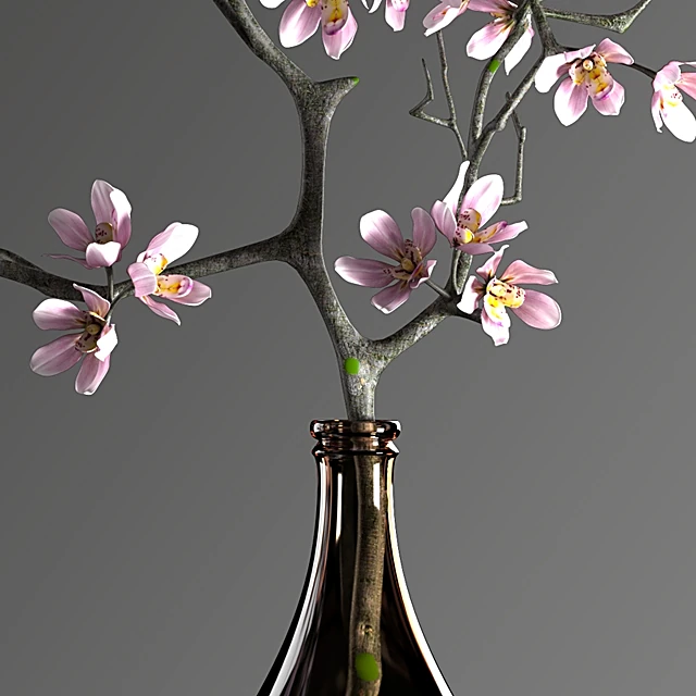 Plants / Decorative set 3