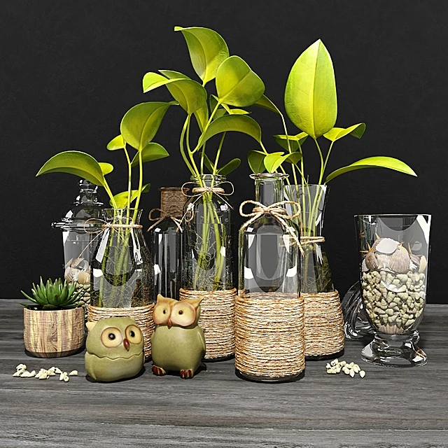 Plants / Decorative set 1