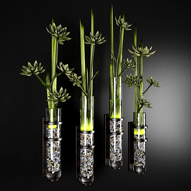 Plants / Vases 1