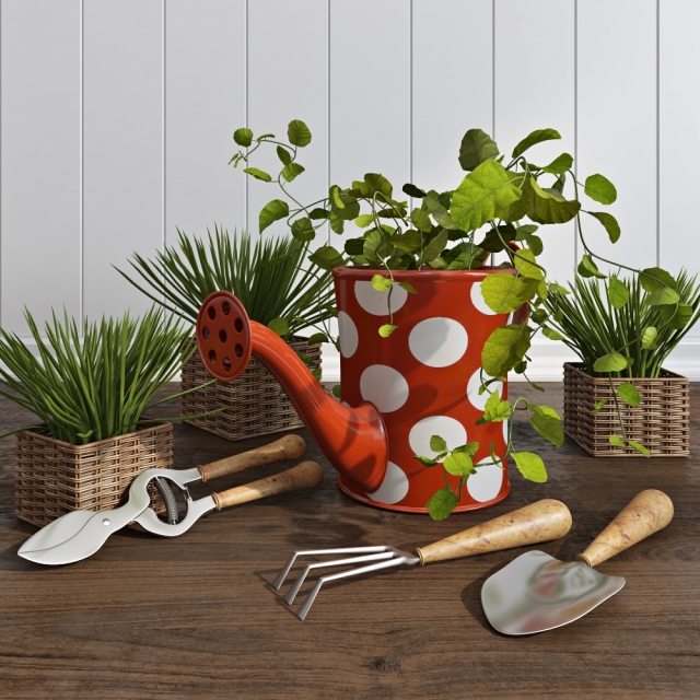 Plants / Decorative set 1