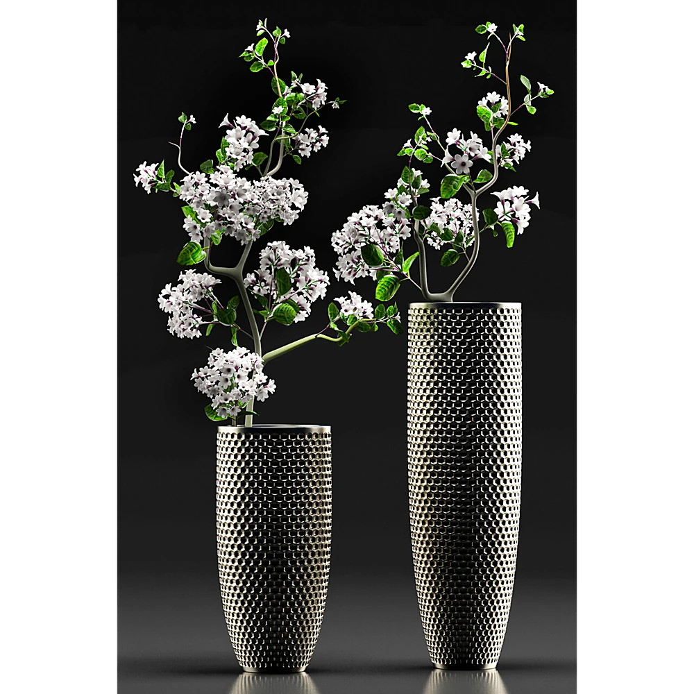 Plants / Vases 1