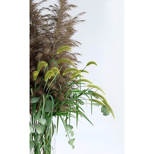 Decorative Grasses with Pampas and Pennisetum
