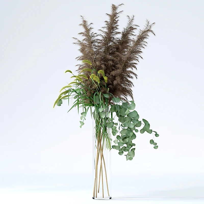 Decorative Grasses with Pampas and Pennisetum (2)