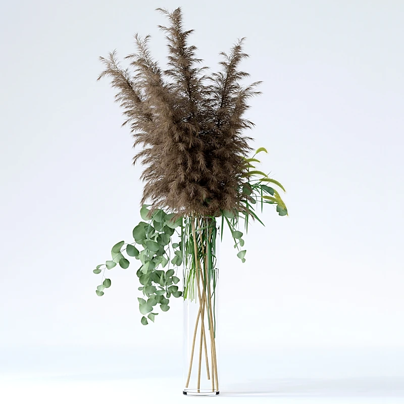 Decorative Grasses with Pampas and Pennisetum (3)