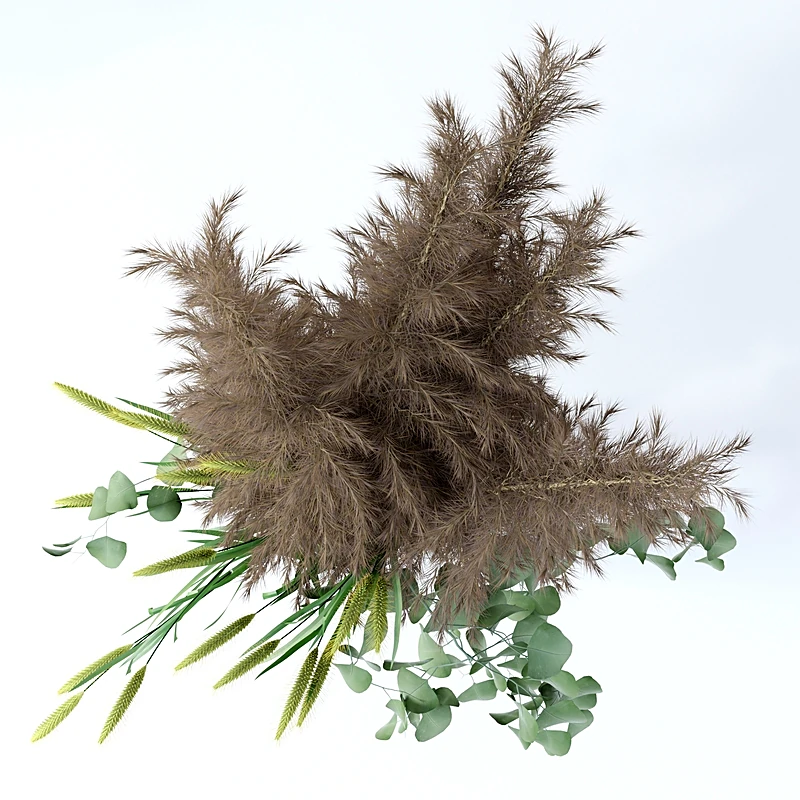 Decorative Grasses with Pampas and Pennisetum (5)