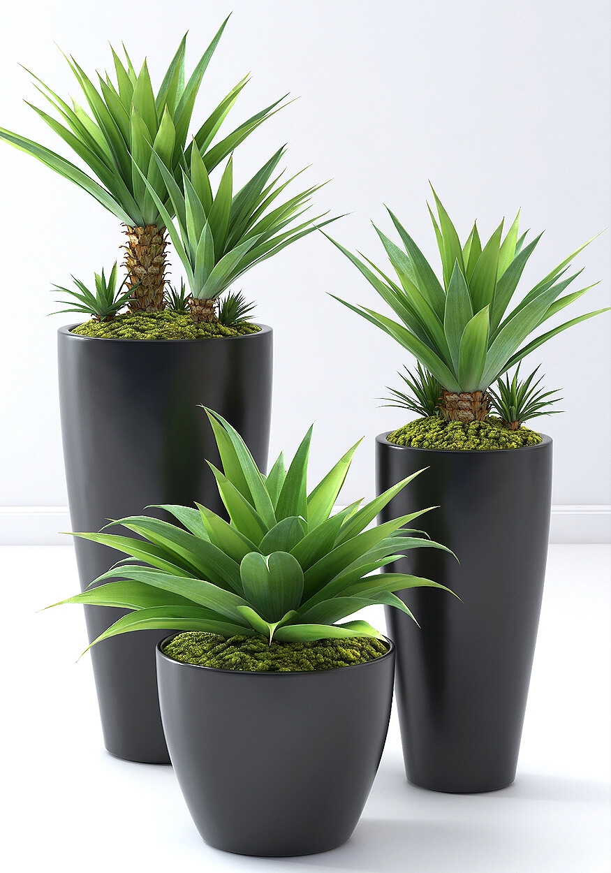 Palm tree set 1 - Download the 3D Model (10325) | zeelproject.com