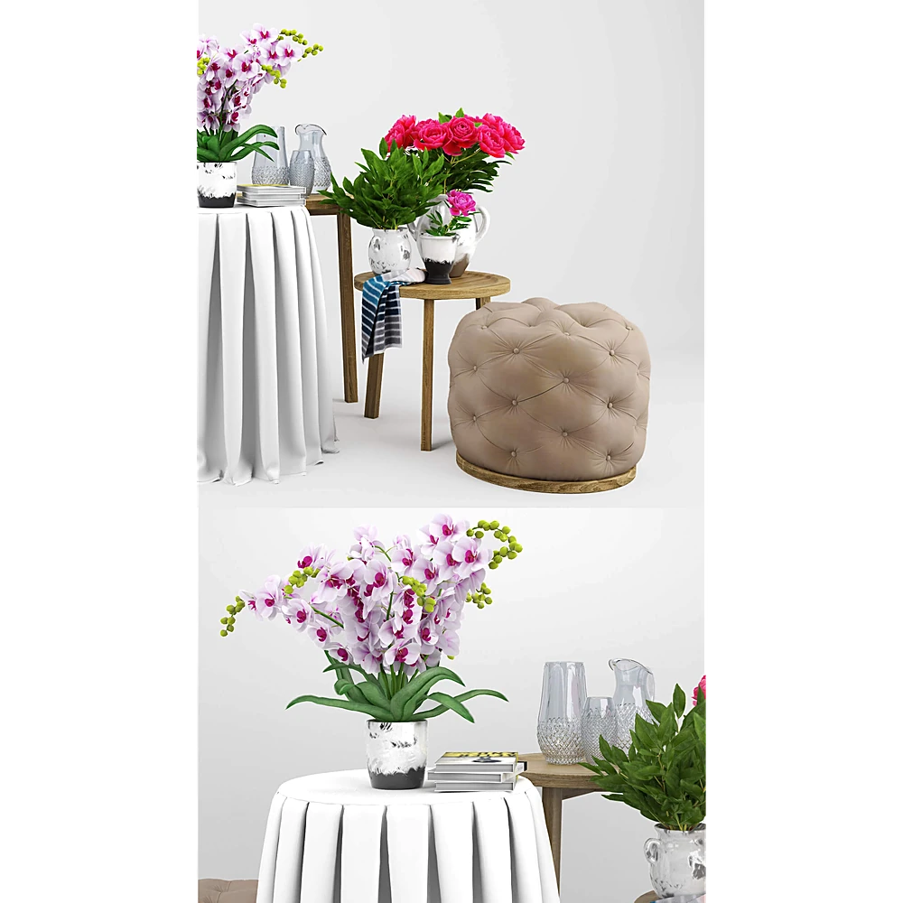 Tables / Armchairs / Plants 1