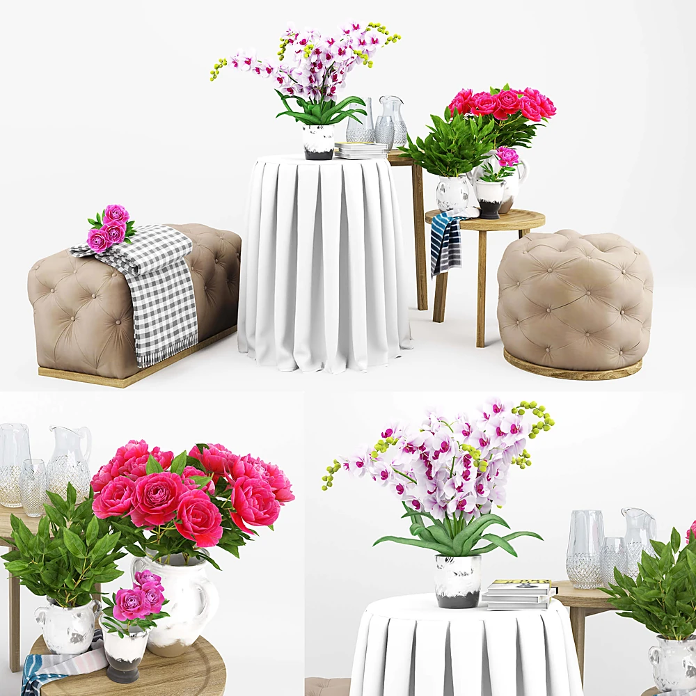 Tables / Armchairs / Plants 2