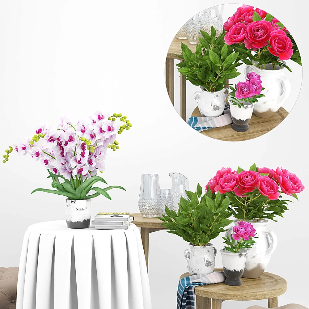 Tables / Armchairs / Plants 3