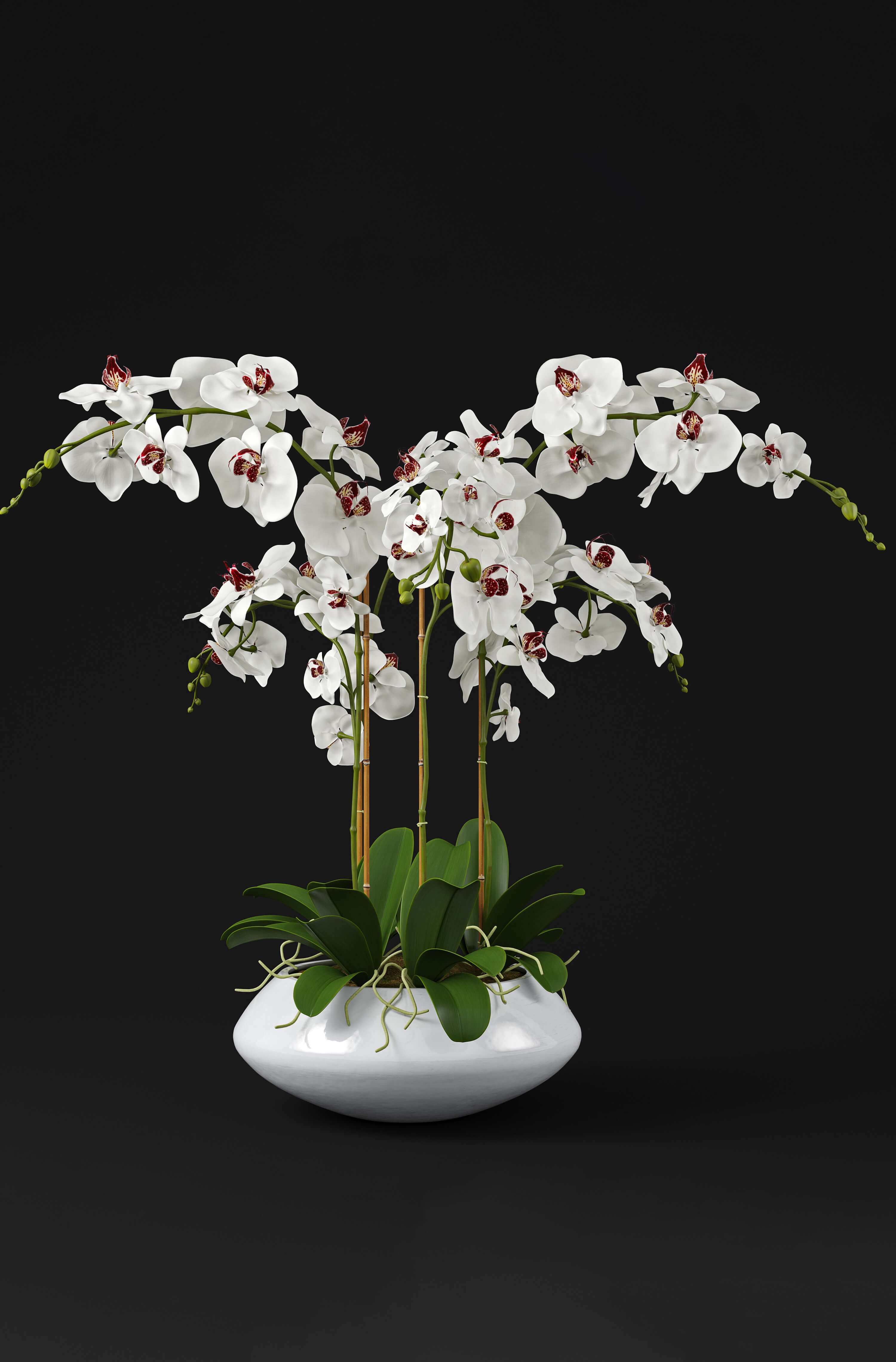 7 орхидей. Орхидея 3д модель. Орхидеи 3d. Модель с орхидеями. Орхидея макет.