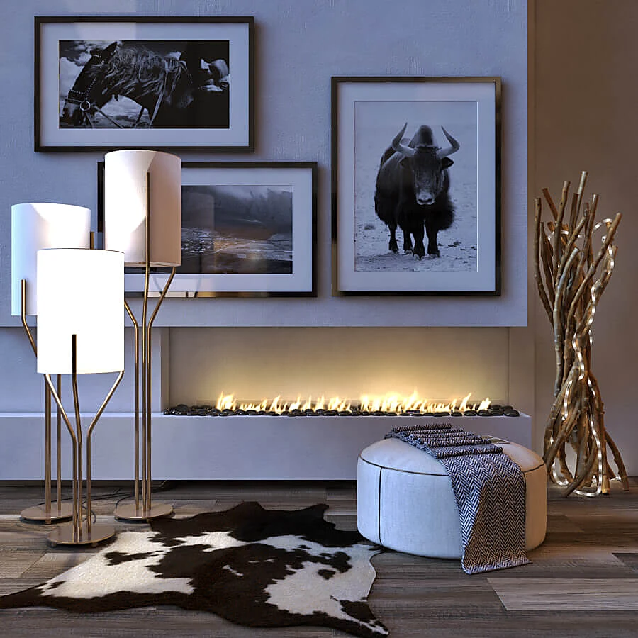Fireplace Insert FLA 3 by PLANIKA