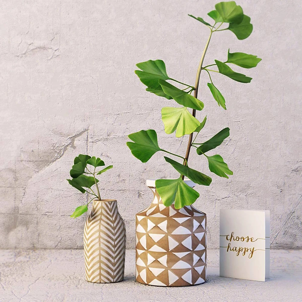 Plants / Vases 1