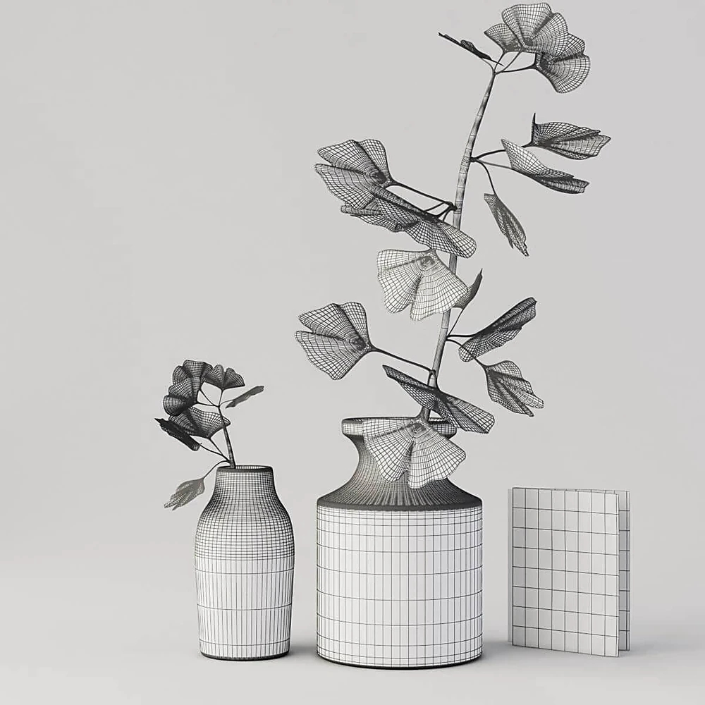 Plants / Vases 2