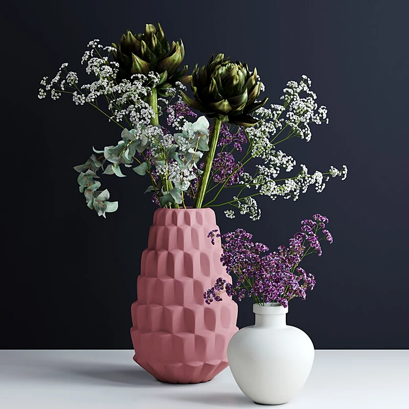 Plants / Vases 5