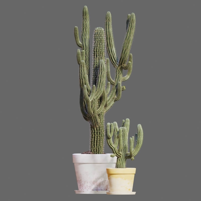 Just Shapes And Beats - Cactus/Plant - 3D model by Reerstheeepic  (@Reihedgehog) [8664621]