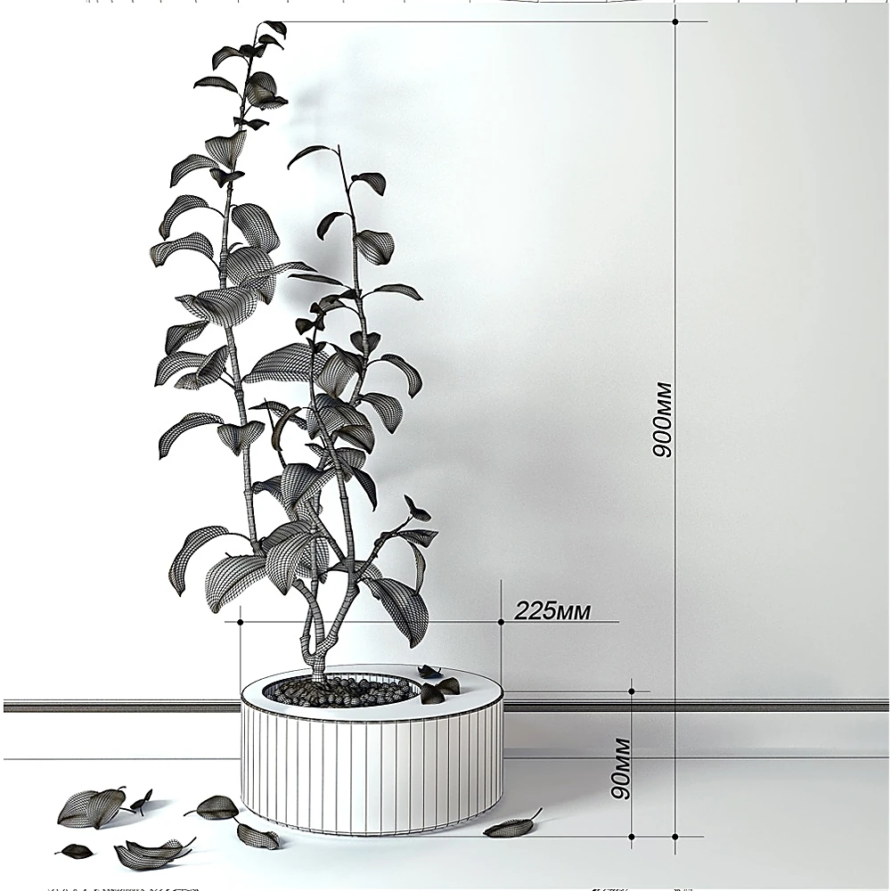 Potted Lemon Plant with Concrete Tub (3)