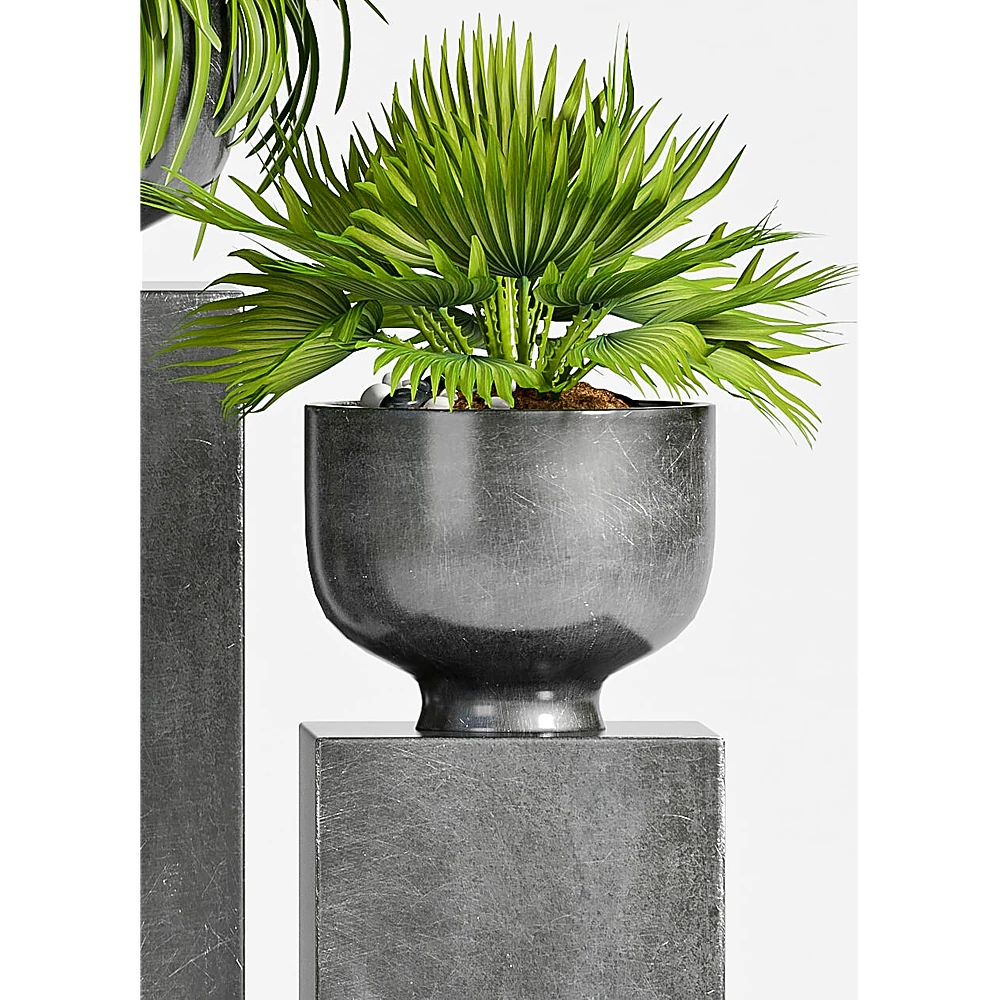 Plantas 1