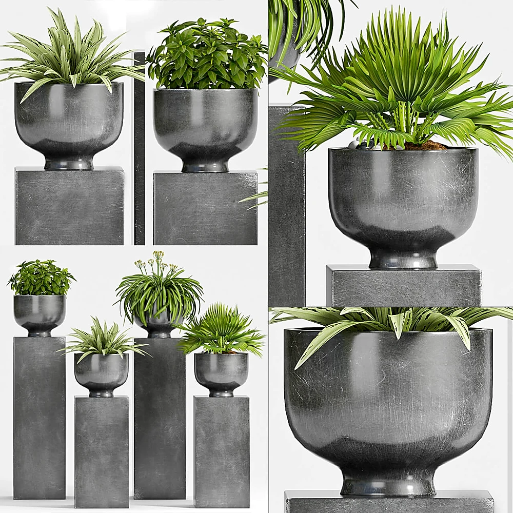 Plantas 2