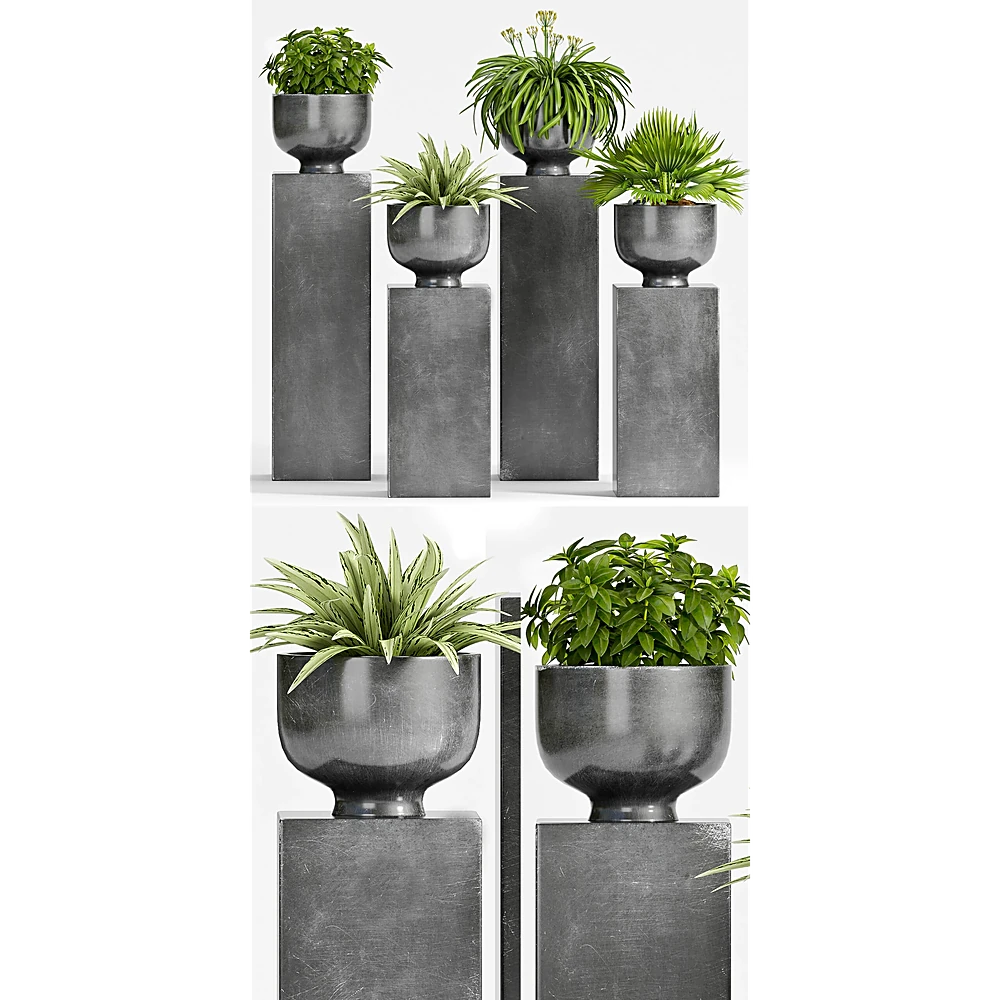 Plantas 3