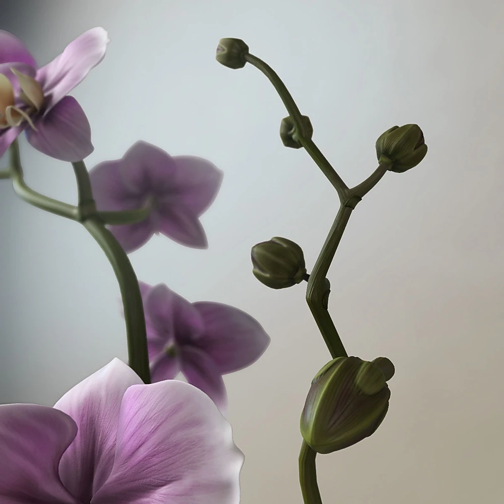 Decorative Vase with Orchid and Blue and White Floral Pattern (2)