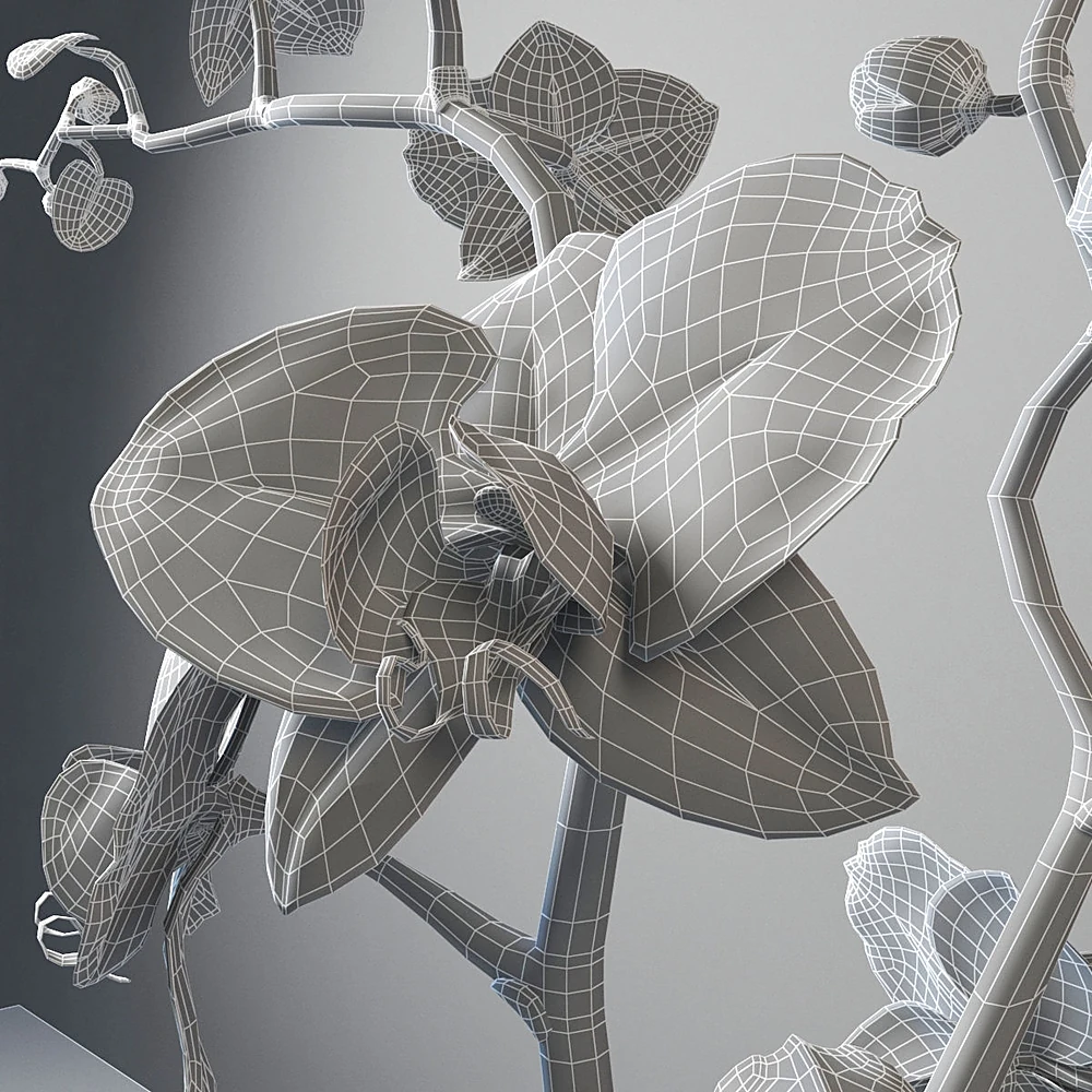 Decorative Vase with Orchid and Blue and White Floral Pattern (3)