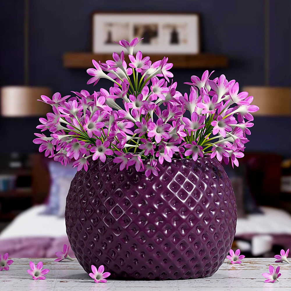 Plants / Vases 1