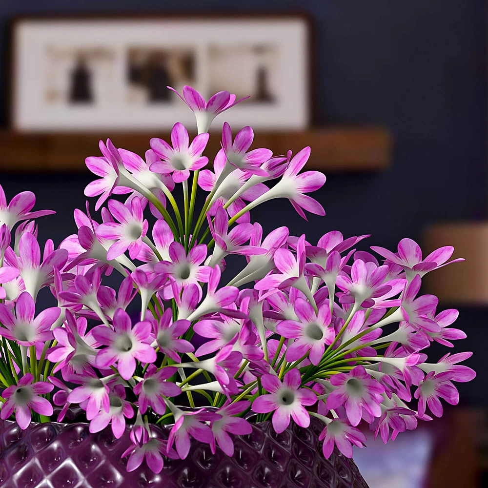 Plants / Vases 2