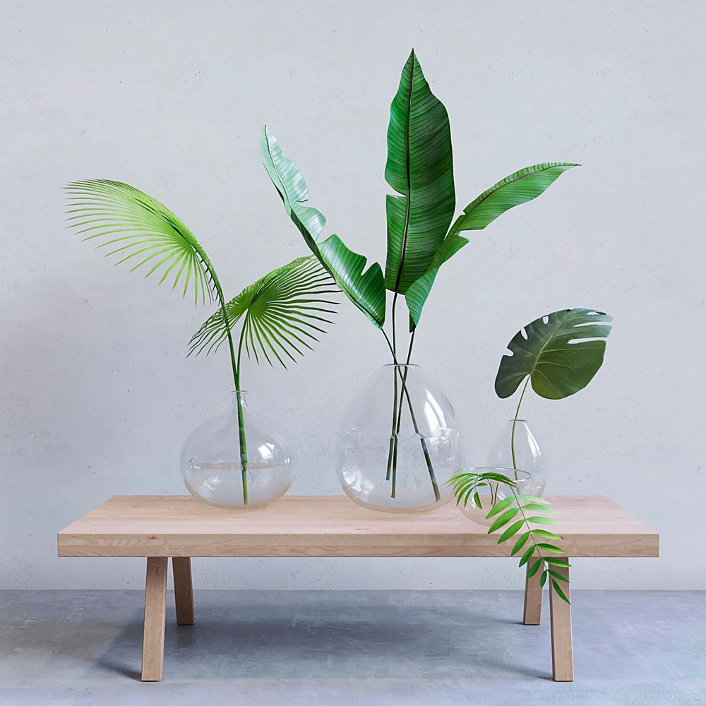 Decorative Plant Set with Tropical Leaves in Glass Vases