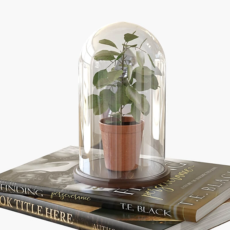 Books / Clothes and Shoes 3