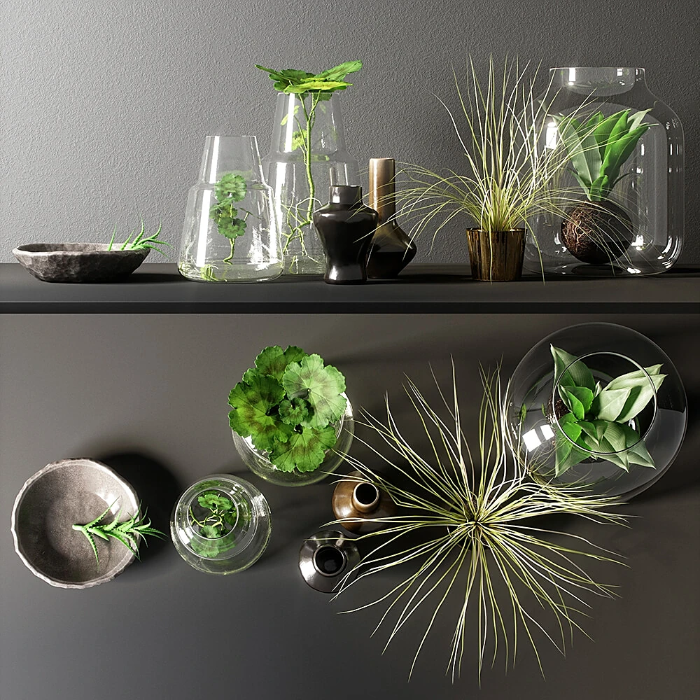 Plants / Decorative set 1