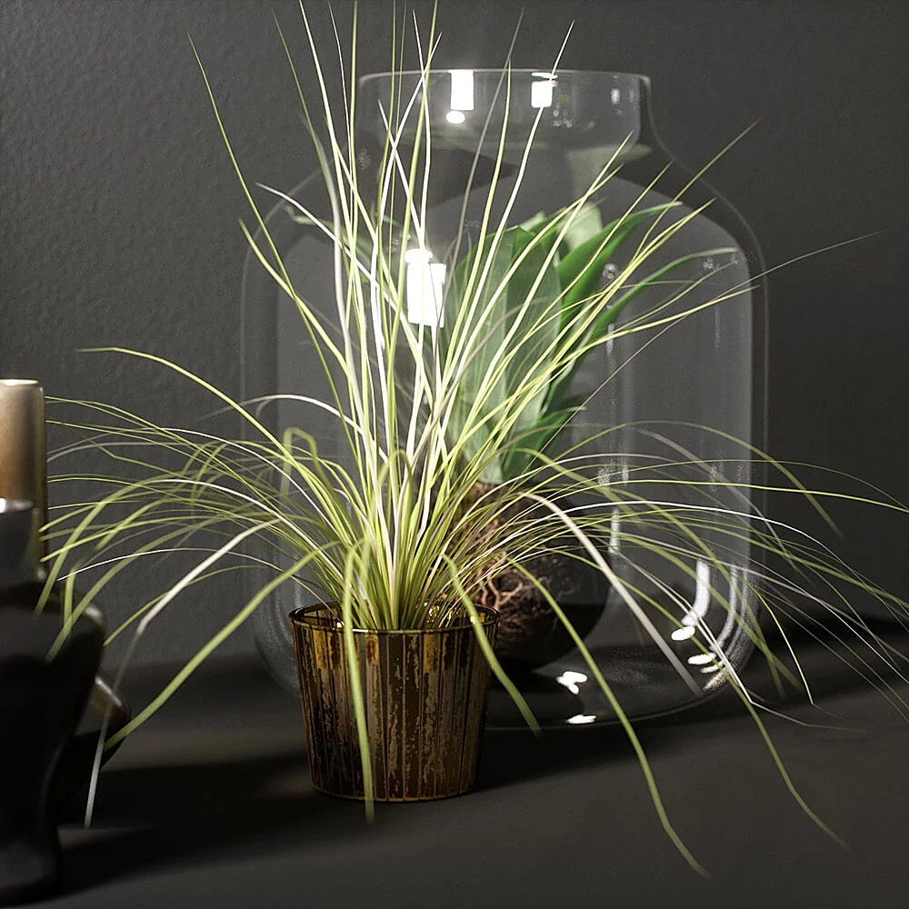 Plants / Decorative set 3