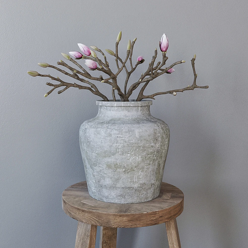 Concrete Vase with Magnolia Branches