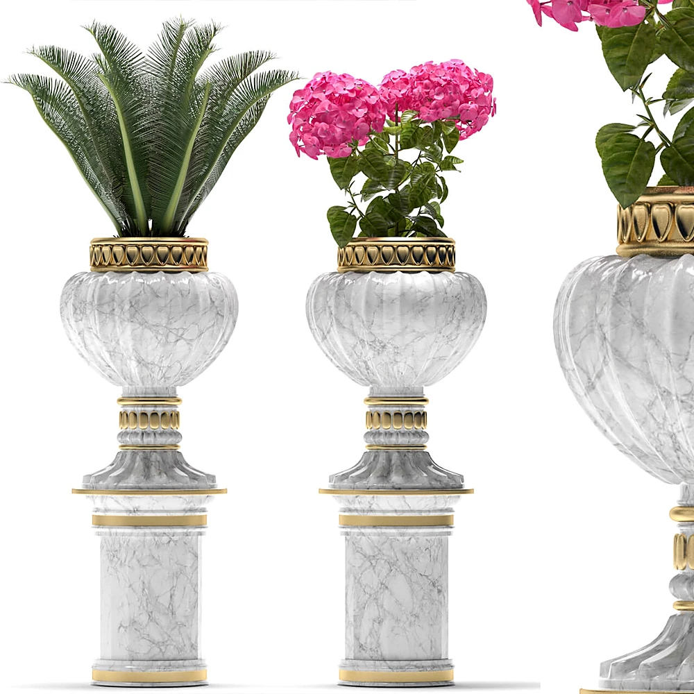Plantas 1