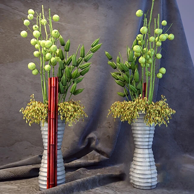 Plants / Vases 1