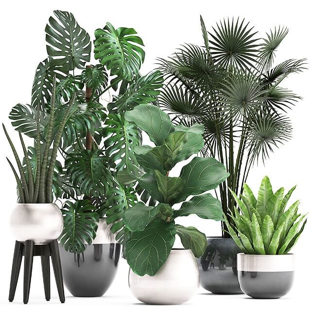 Plant Collection 293 - Download The 3d Model (11282) 