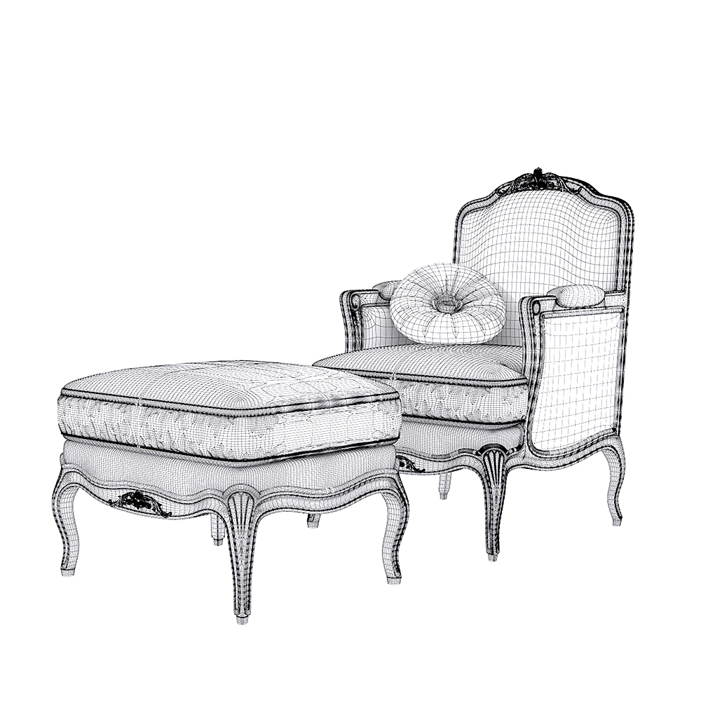 Armchair and Ottoman Set by Angelo Cappellini (2)
