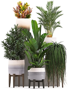 Plant Set -96 - download 3d model | ZeelProject.com