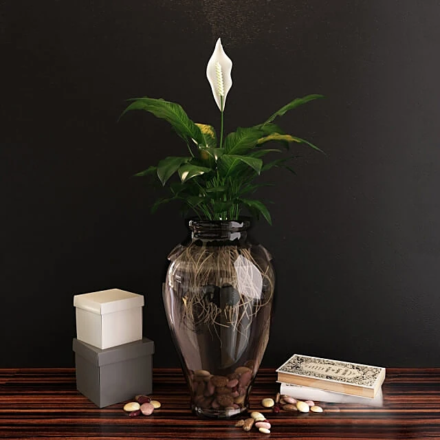 Դեկորատիվ հավաքածու 1