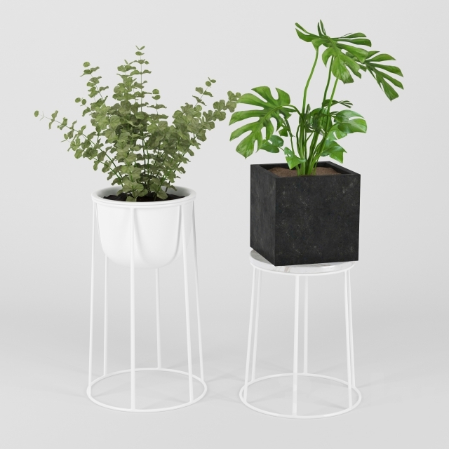 Plants In Pots 202 - Download The 3d Model (11607) 