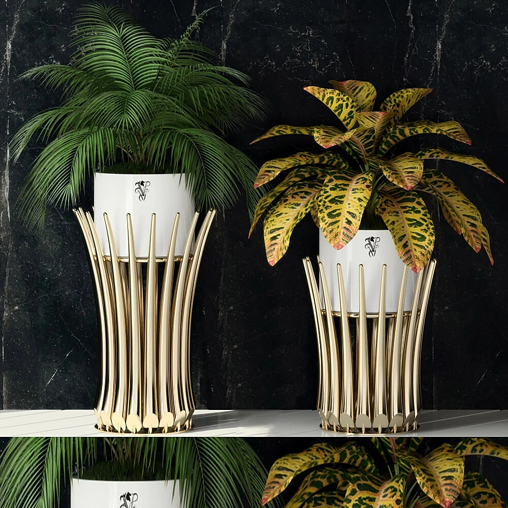 Plants / Vases 1