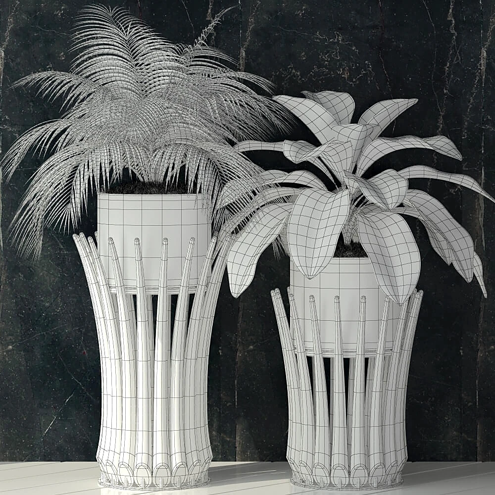 Plants / Vases 3