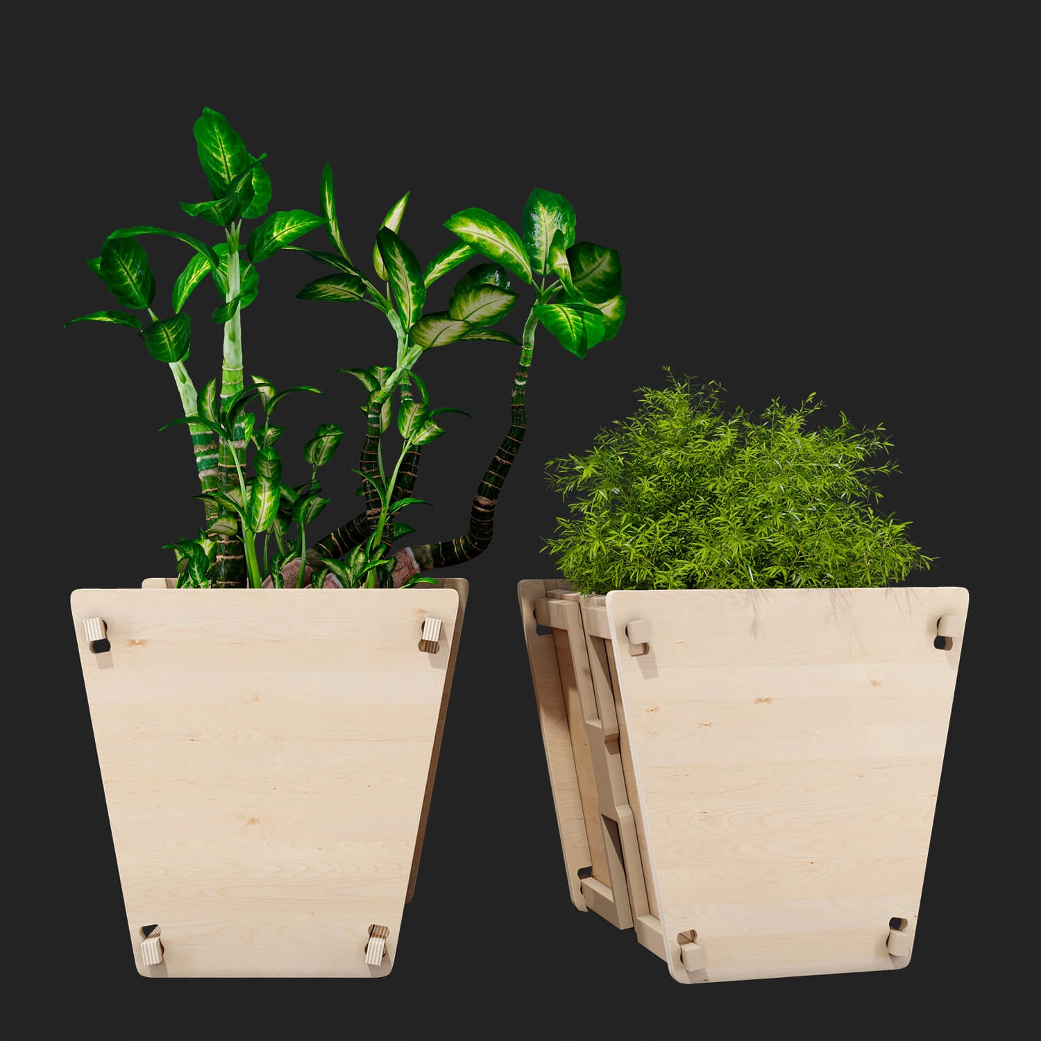 Plants / Vases 1