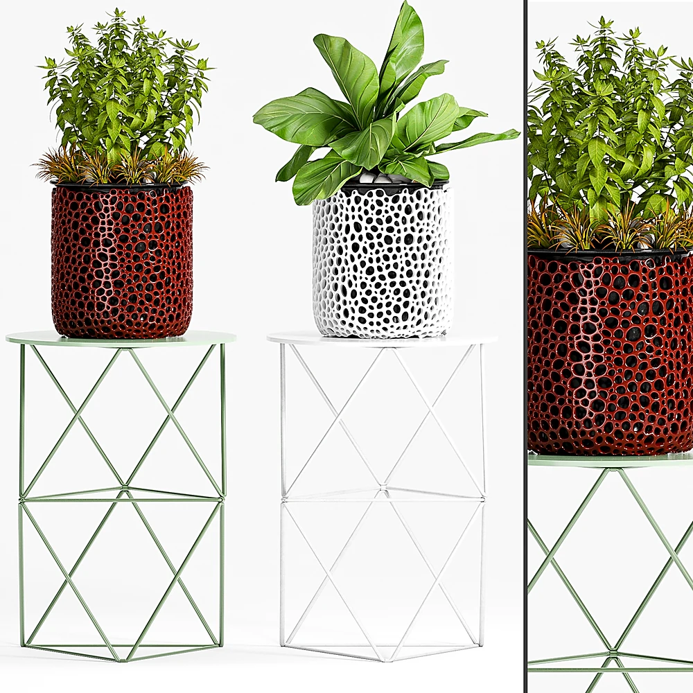 Decorative Plant Pot with Porous Texture