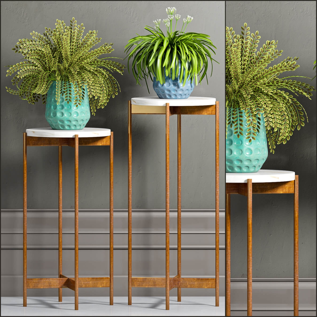 Plants 1