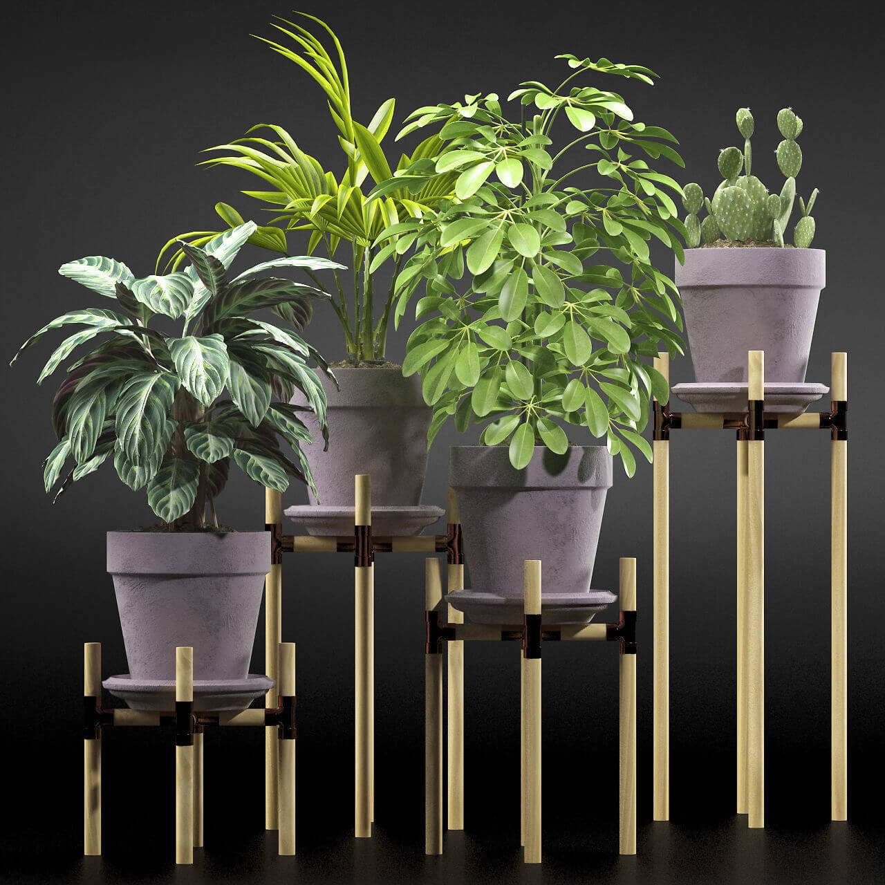 Plants 106.1 - Download the 3D Model (12066) | zeelproject.com