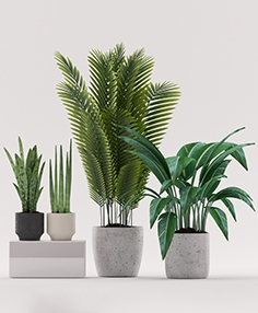 Plants 99 - download 3d model | ZeelProject.com