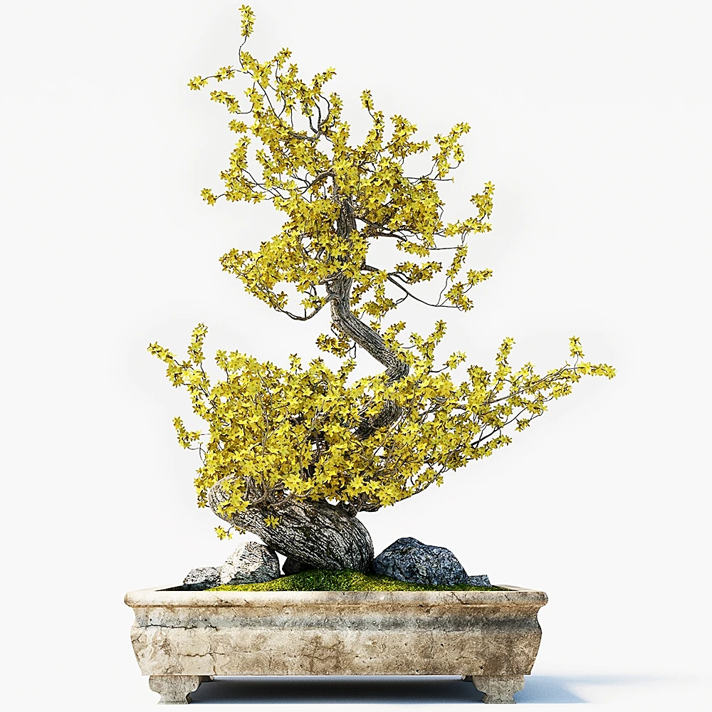 Otros objetos decorativos 2